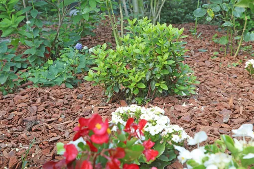 Экономия воды после установки счетчиков: фото, способы