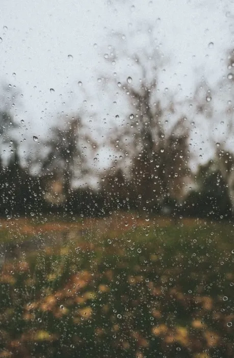 Москвичам пообещали репетицию осени