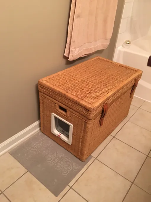 куда спрятать кошачий туалет идеи куда спрятать кошачий туалет идеи