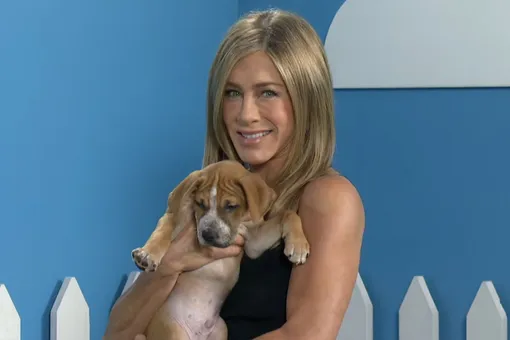 «Ноль сожалений»: Дженнифер Энистон раскрыла, почему не завела детей «Ноль сожалений»: Дженнифер Энистон раскрыла, почему не завела детей