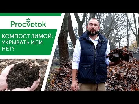 Нажми и смотри
