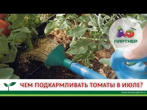 Нажми и смотри