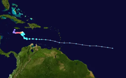 Путь движения глаза «Мелиссы»