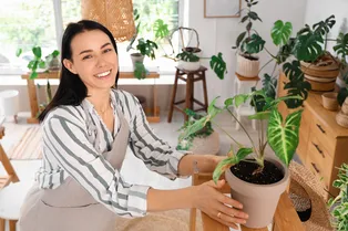 5 комнатных растений, которые принесут удачу и процветание в год Змеи — посадите их прямо сейчас!