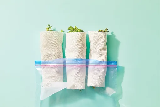 шаг 3 тимьян, розмарин шаг 3 тимьян, розмарин