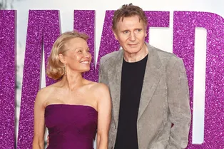 Любовь или пиар? Что происходит между Памелой Андерсон и Лиамом Нисоном Любовь или пиар? Что происходит между Памелой Андерсон и Лиамом Нисоном