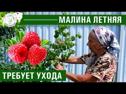 Нажми и смотри