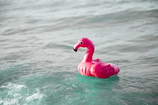 В Петербурге прошёл митинг надувных фламинго: они требовали вернуть жару