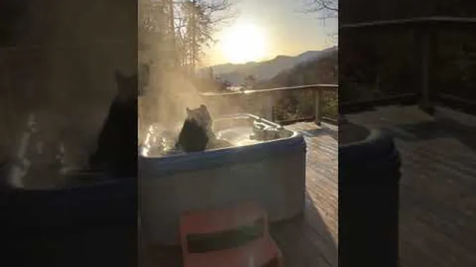 Нажми и смотри