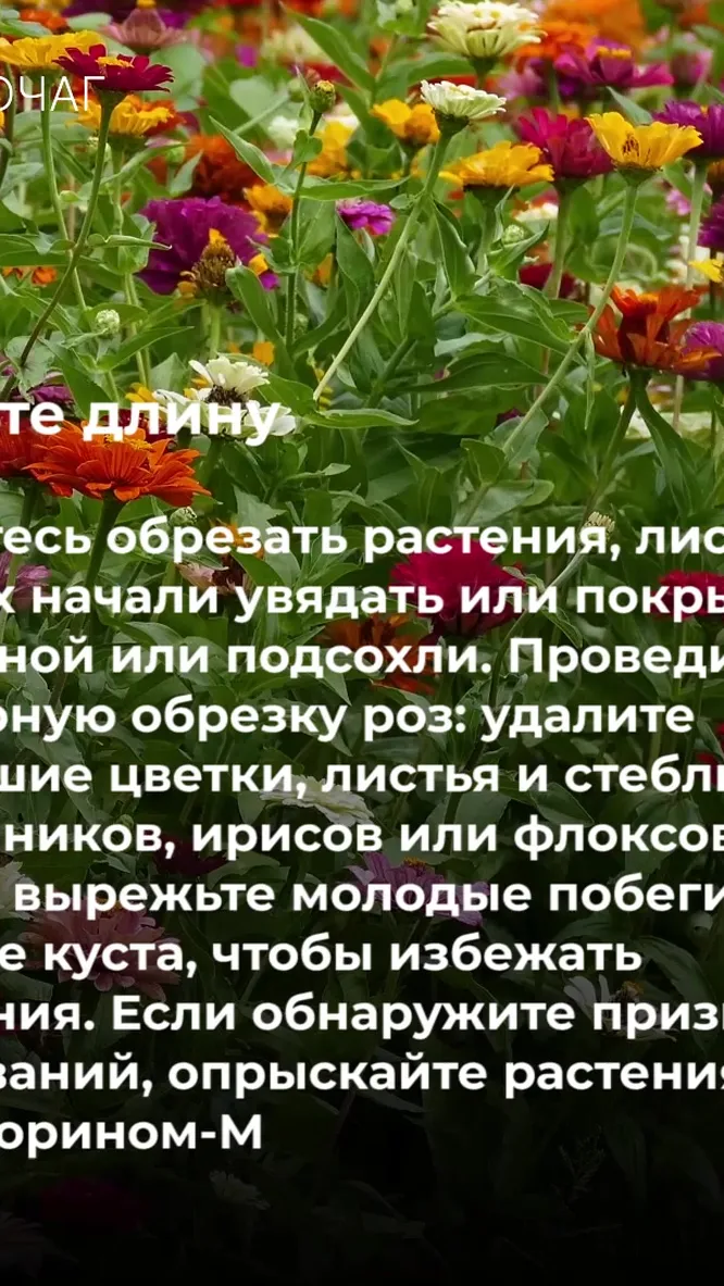 Нажми и смотри