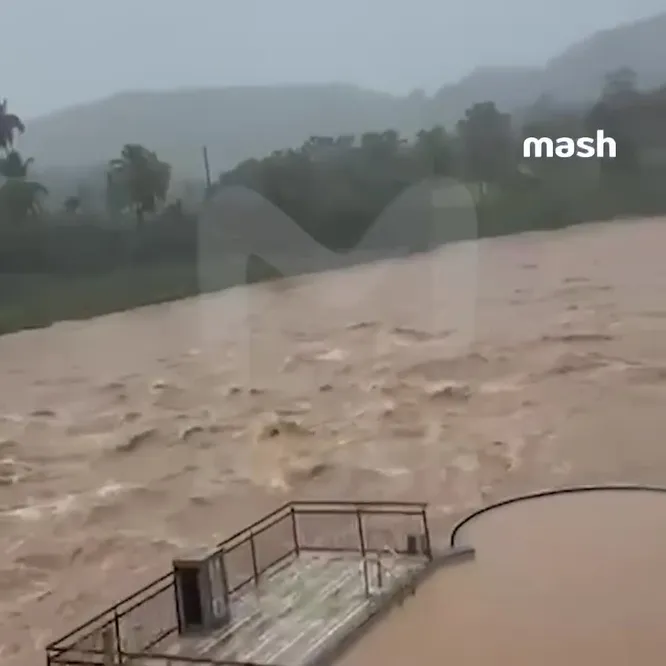 Нажми и смотри