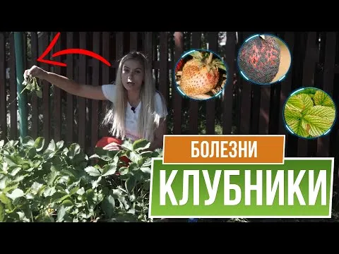 Нажми и смотри