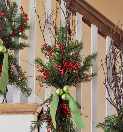 хвойные ветки хвойные ветки