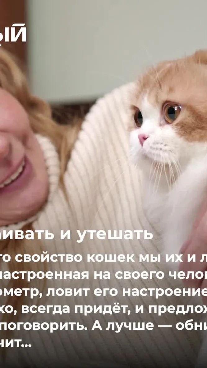 Нажми и смотри