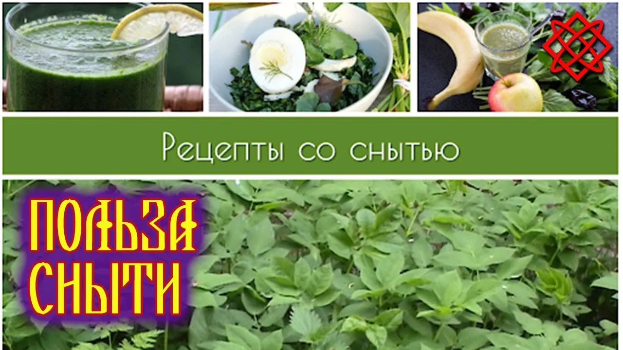 Нажми и смотри
