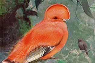 Выставка «Листая Брэма» Выставка «Листая Брэма»