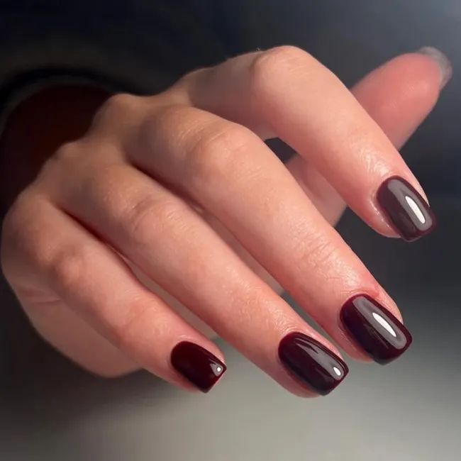 Чёрная вишня и пряный оранжевый: 7 глубоких сочных цветов маникюра для зимы 2026