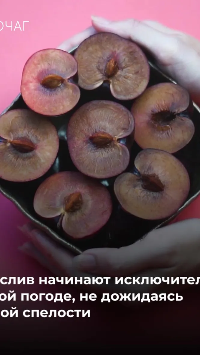 Нажми и смотри