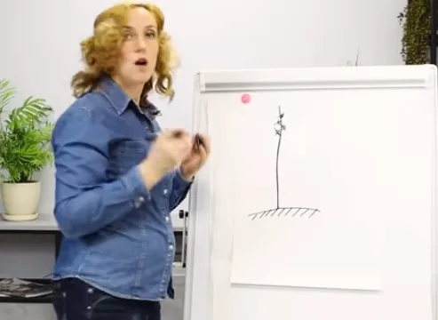Обрезка 2, 3 и 4 почки молодого саженца