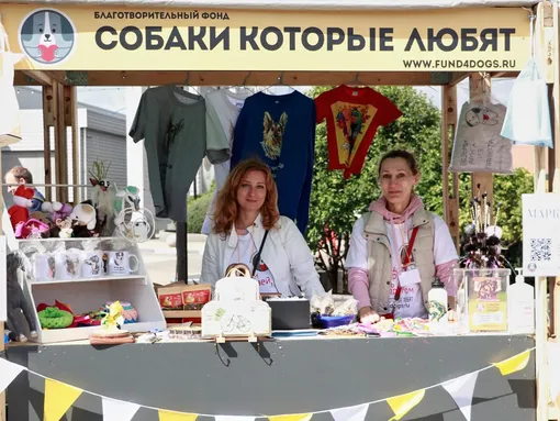 собаки и люди собаки и люди