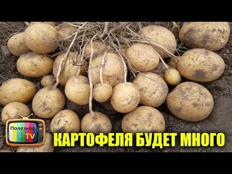 Нажми и смотри