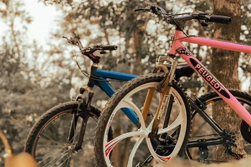 Осенний велофестиваль: где перекроют московские улицы 12 и 13 сентября