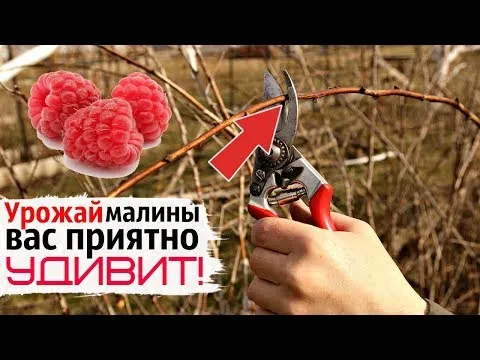 Нажми и смотри