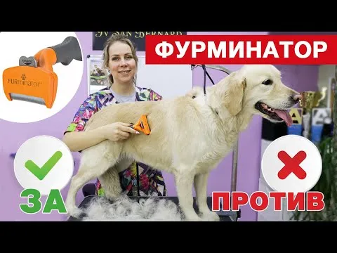 Нажми и смотри