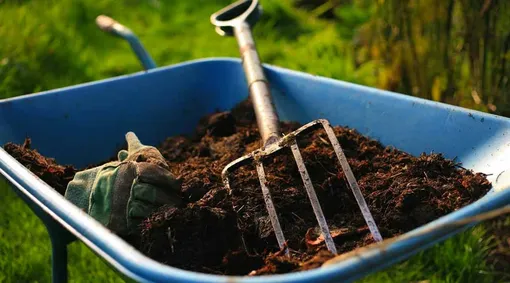 Улучшение качество почвы перед зимой Улучшение качество почвы перед зимой