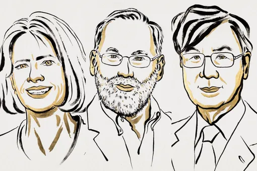 Мэри Бранкоу — женщина, объяснившая, почему наш иммунитет не убивает нас Мэри Бранкоу — женщина, объяснившая, почему наш иммунитет не убивает нас