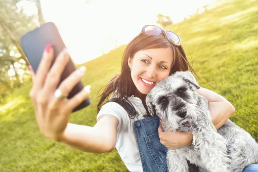 26 мини-привычек для счастливой собаки в 2026 году