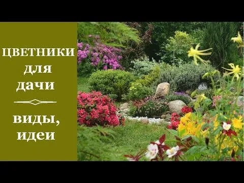 Нажми и смотри