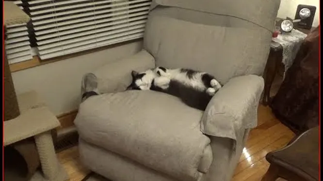 Нажми и смотри Нажми и смотри