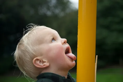 «Укрепляем иммунку»: 8-месячный малыш жует песок и лижет тележки в магазине «Укрепляем иммунку»: 8-месячный малыш жует песок и лижет тележки в магазине