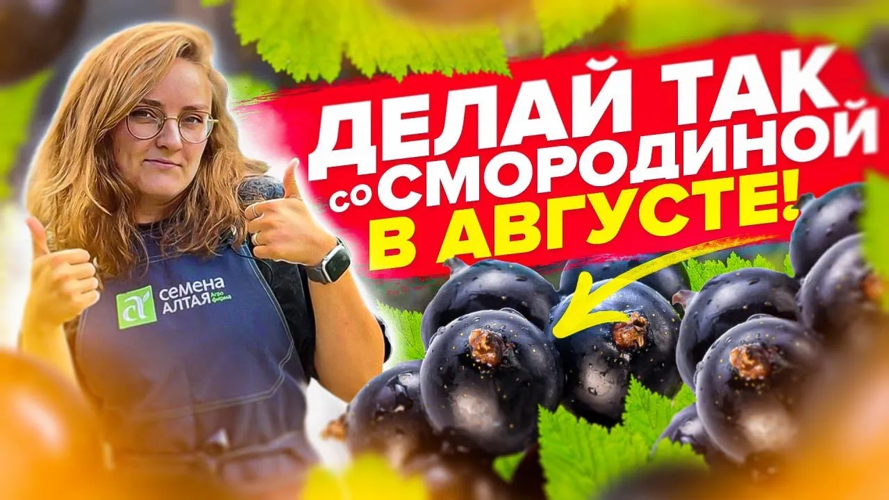 Нажми и смотри