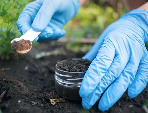 Анализ почвы – основа плана удобрения