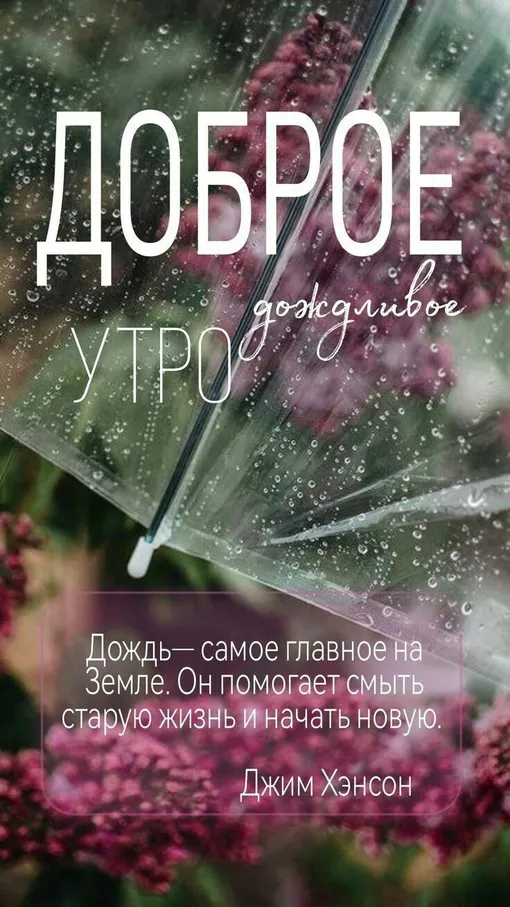 открытка с добрым утром