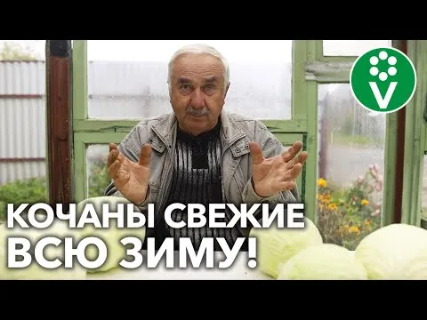 Нажми и смотри