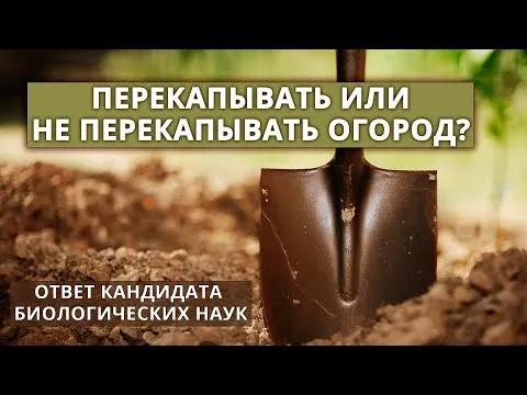 Нажми и смотри