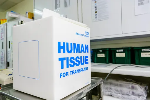 Пациент в коме подавал знаки, что жив, но был отправлен на изъятие органов. Его спас нейрохирург Пациент в коме подавал знаки, что жив, но был отправлен на изъятие органов. Его спас нейрохирург