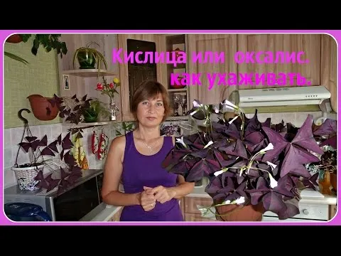 Нажми и смотри