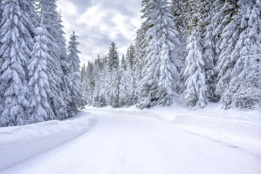 Где в России ждать 30-градусных морозов Где в России ждать 30-градусных морозов