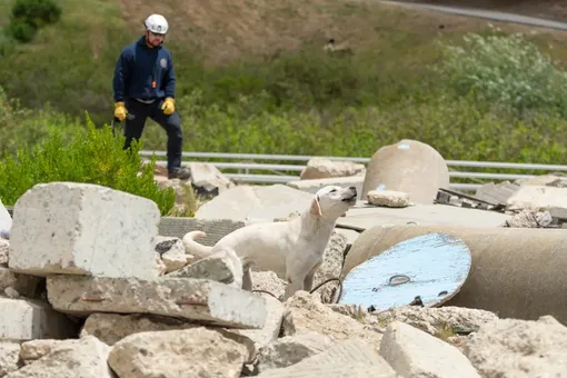 Кэм на тренировке