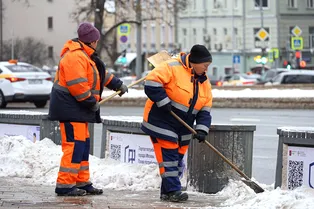 «Это не мотивация»: глава Рособрнадзора призвал родителей не пугать детей работой дворника