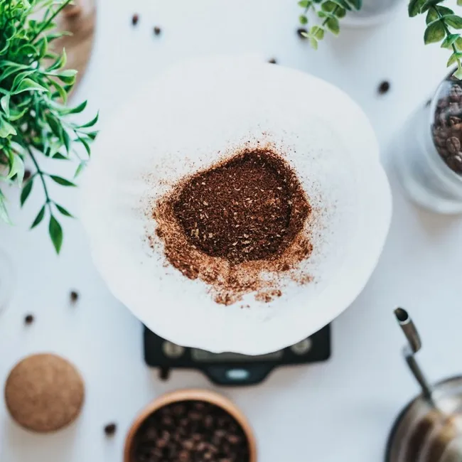 «Дрозофилы заведутся, мухи полетят»: в каких случаях от кофейной гущи больше вреда, чем пользы