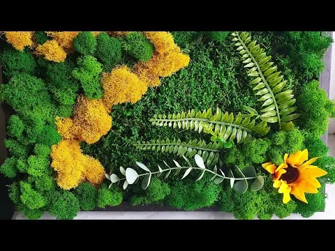 Нажми и смотри