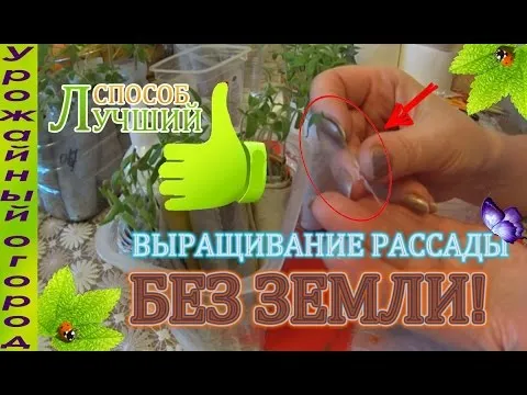 Нажми и смотри Нажми и смотри