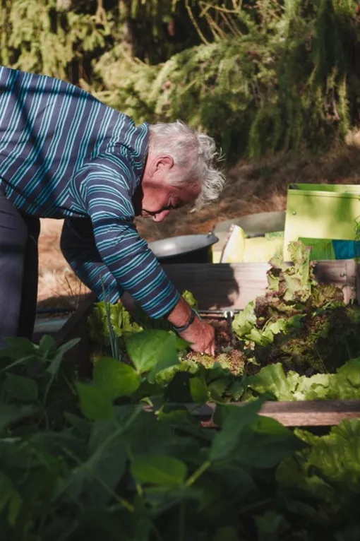 Перекапывать почву нужно два раза в год