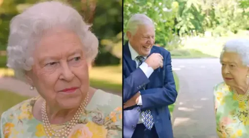 Кадр из документального фильма «Зеленая планета королевы» (2018) Кадр из документального фильма «Зеленая планета королевы» (