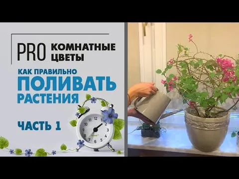 Нажми и смотри